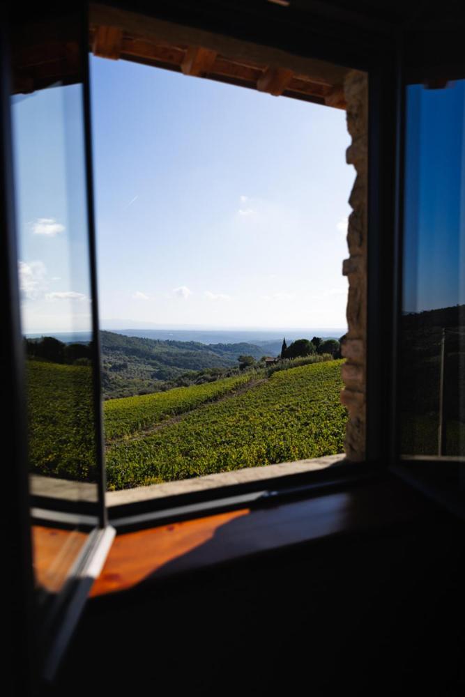 Villa Privata Con Piscina A Riparbella Castellina Marittima Zewnętrze zdjęcie